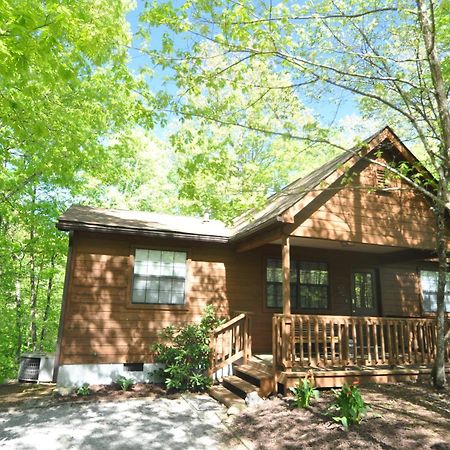 Adalynn'S Mountain Retreat-Hot Tub, 1089 Of Free Tickets For Each Paid Day, Dollywood And More! Pigeon Forge Dış mekan fotoğraf